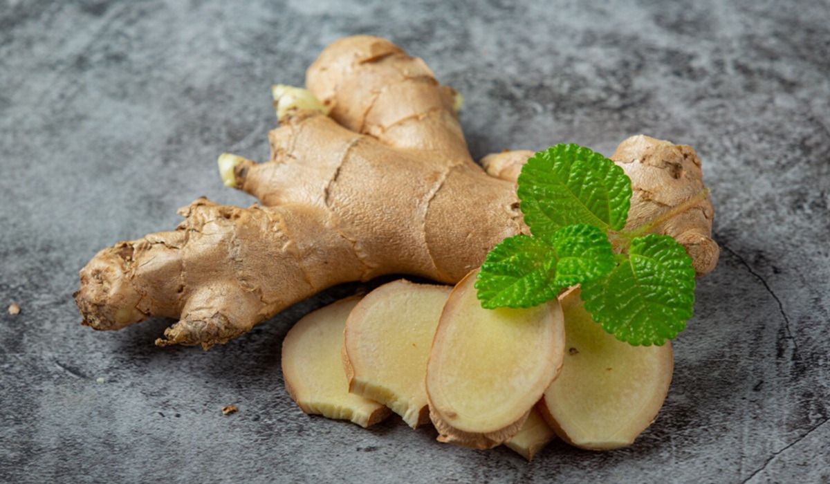 National Ginger Production Declines, IPB Expert Urges Agribusiness Transformation