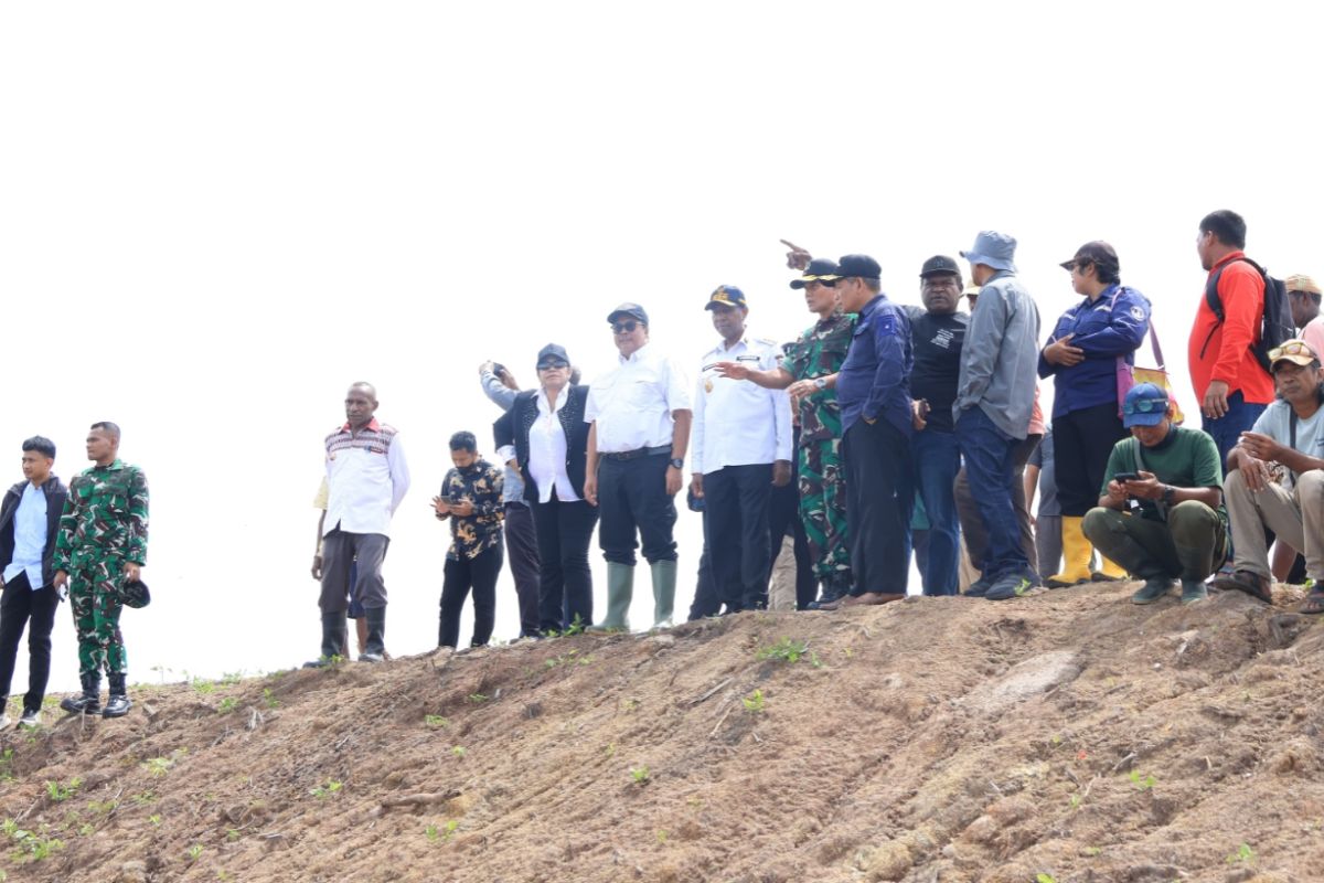 Merauke PSN to boost Papua's food self-sufficiency: Minister