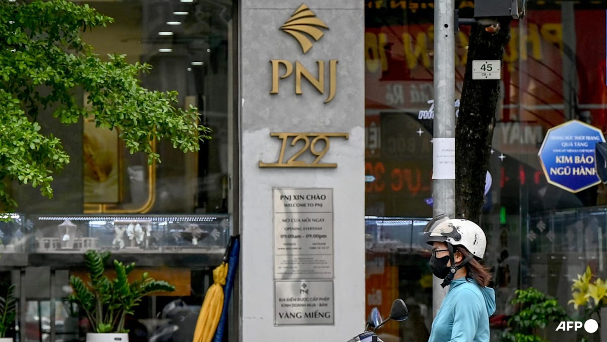 Vietnam probes diamond smuggling ring linked to major jeweller