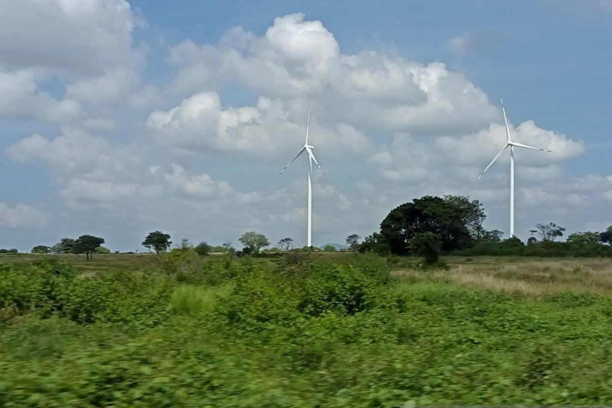 Researcher: Coal export governance reform supports energy transition