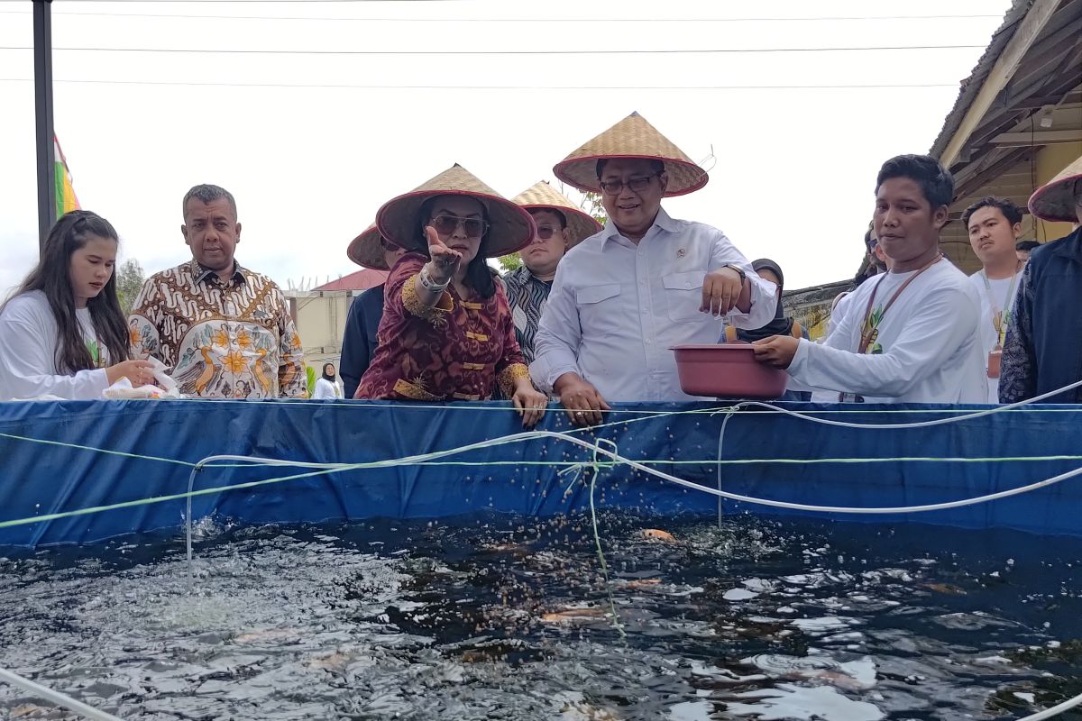 BRIN develops incubator to accelerate tilapia breeding
