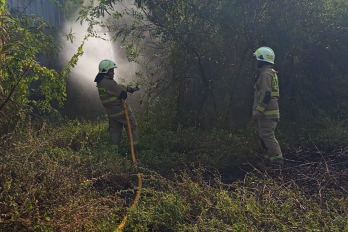 Firefighters Extinguish Vacant Land Blaze in North Jakarta