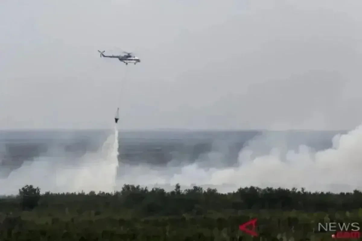 Nine Regencies in South Sumatra Declare Forest and Land Fire Alert Status