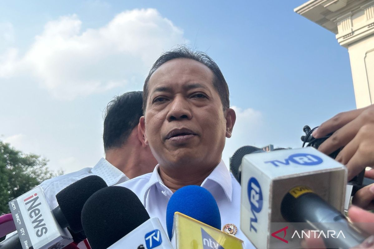 Minister: Mining Management Not Exclusive to 'Red and White' Village Cooperatives