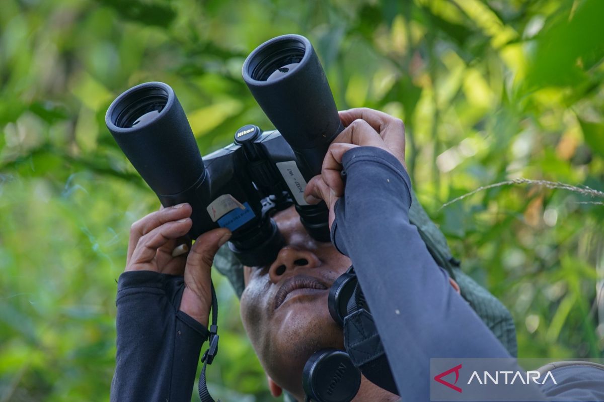 Conservation cadres formed to identify flora and fauna in Tombo Forest