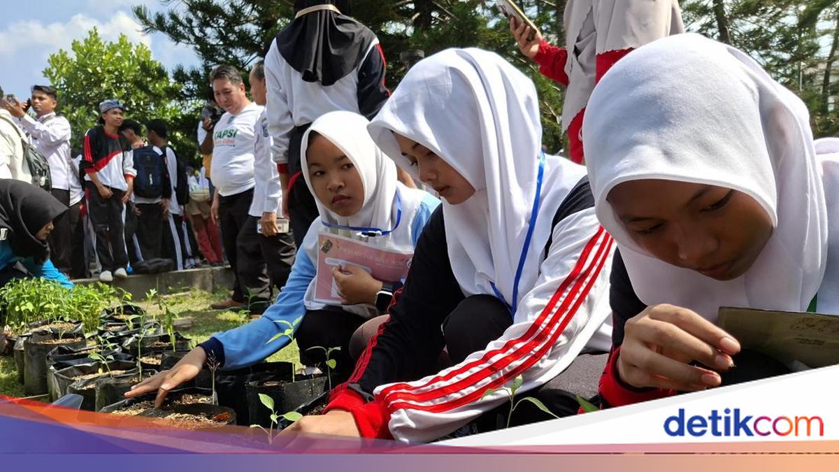 NTB Government Mandates 41,000 New Students to Plant Chillies to Curb Inflation