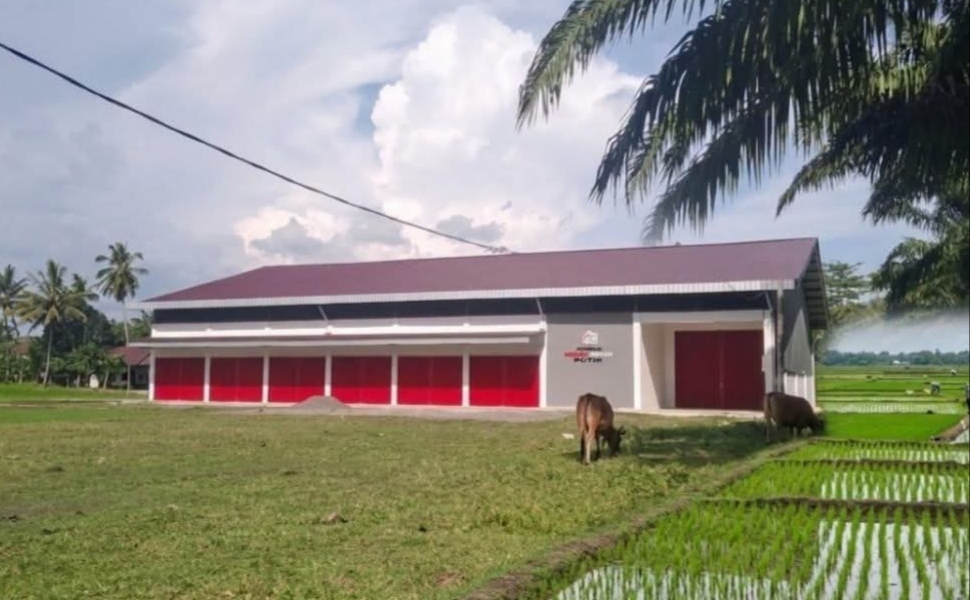 Central Java's Agricultural Land Conversion Reaches 17,114 Hectares, Threatening Food Production
