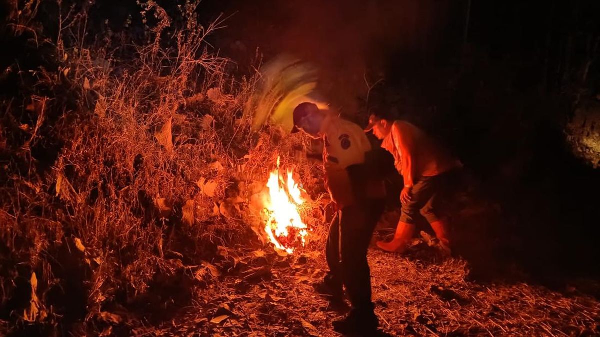 Fire Erupts in R Soerjo Grand Forest Park, Mojokerto