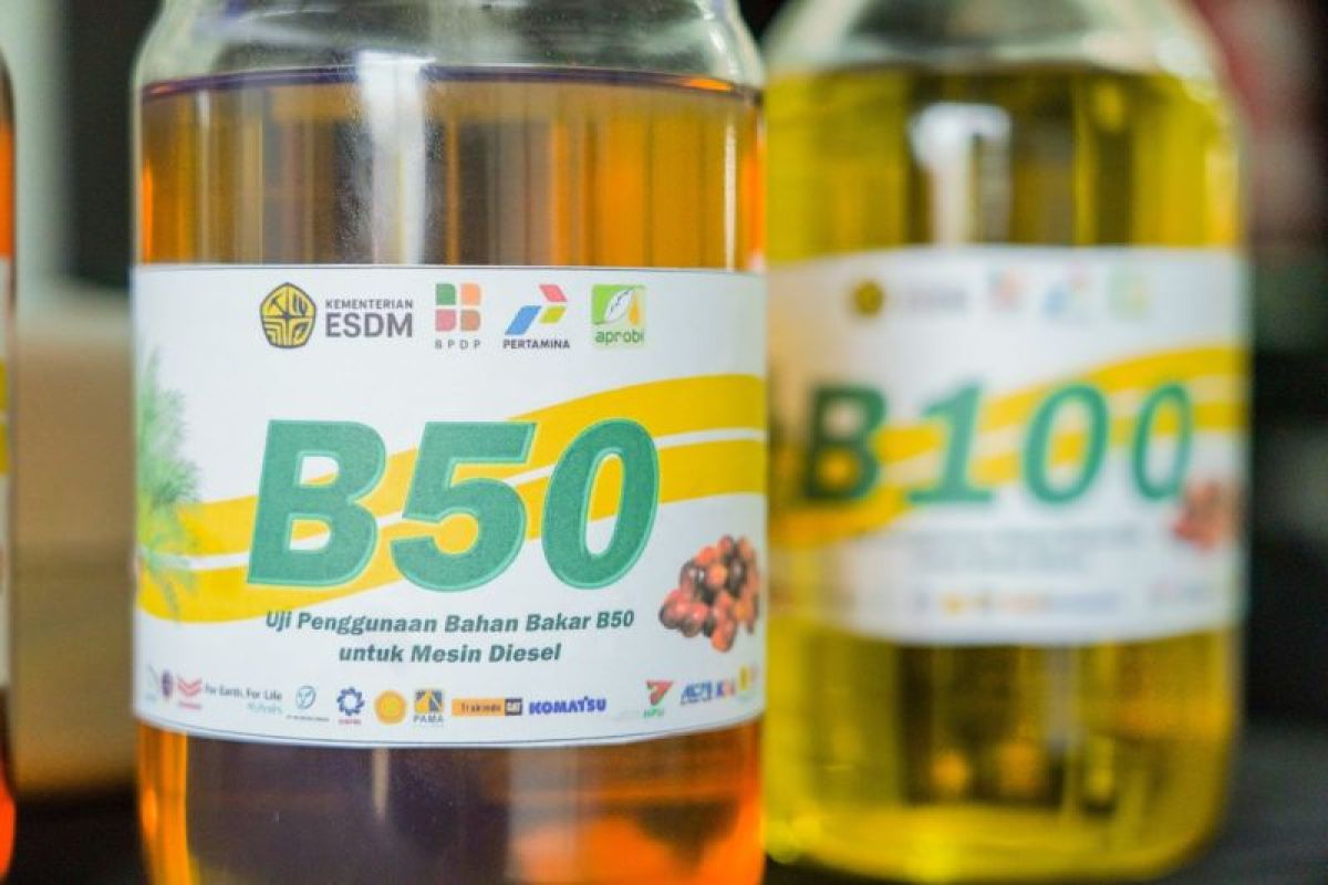 Academic: B50 Programme a Strategic Step Towards Energy Self-Sufficiency