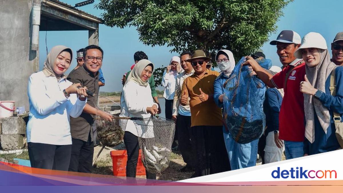 Surabaya Council Praises City's Efforts to Improve Access to Medokan Ayu Fish Farms