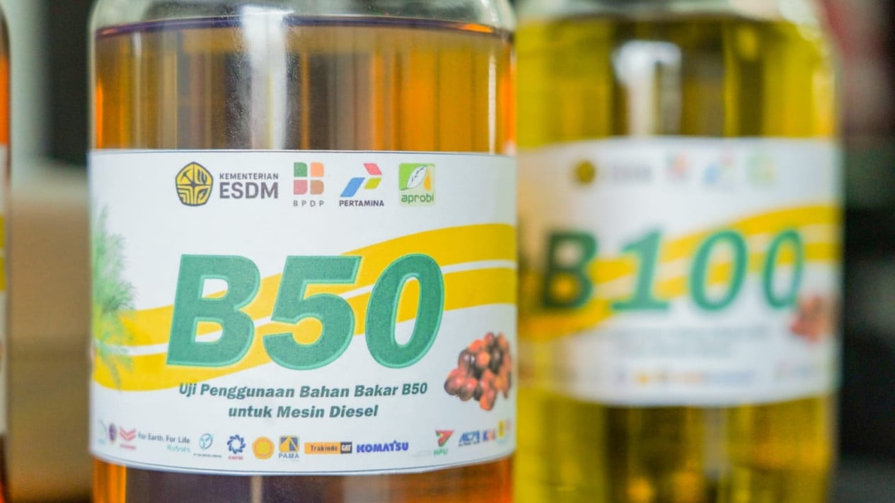 Government Assures B50 Biodiesel Safe for Vehicles, Dismisses 'Reckless Leap' Claims
