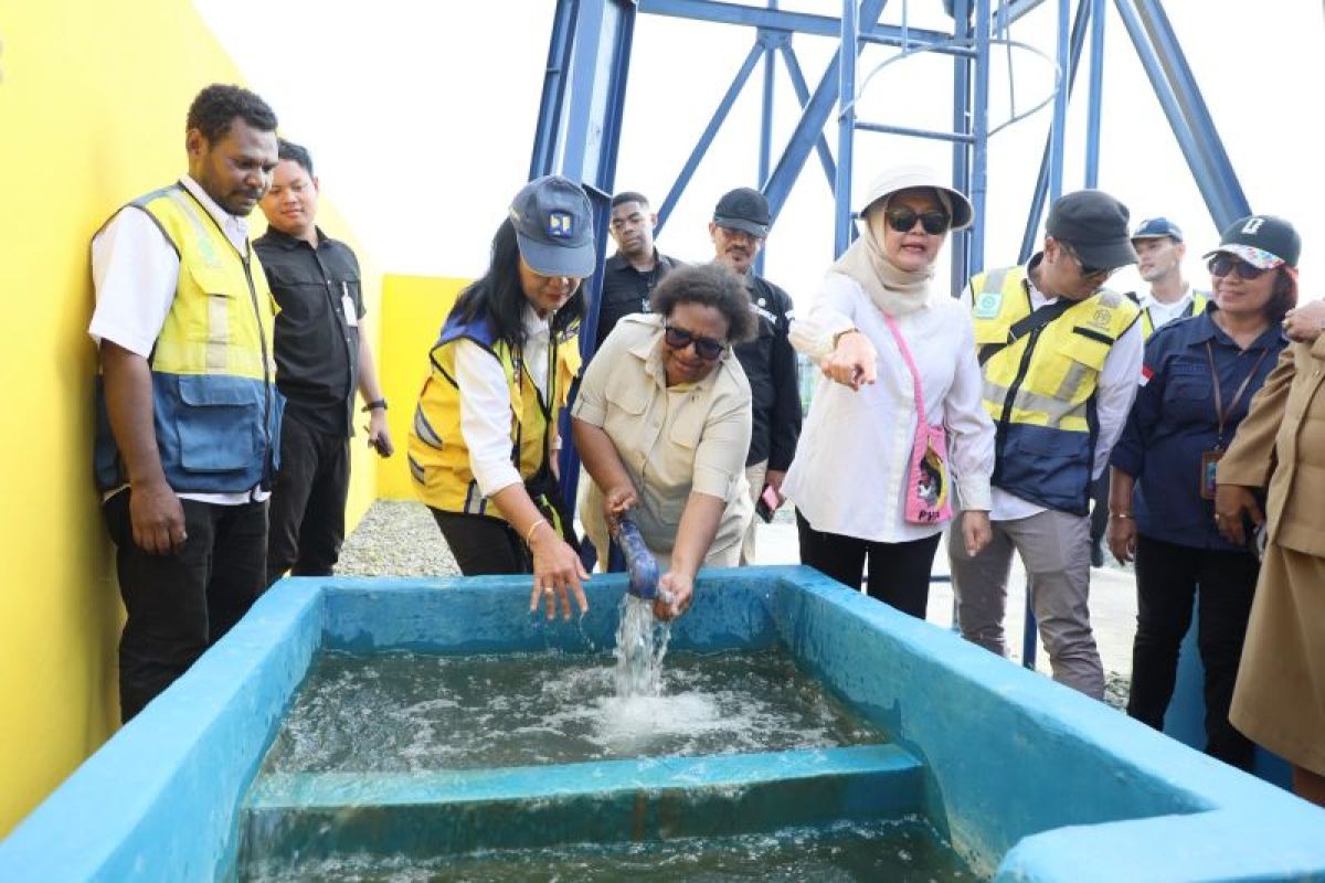 Deputy Home Affairs Minister Ensures Priority Programmes in Papua Run Optimally