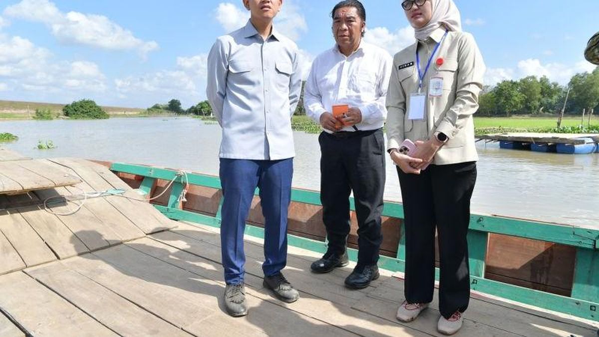 VP Gibran Inspects Stalled Way Bungur Bridge Project in Lampung, Promises Swift Completion