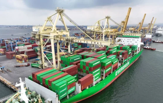 Indonesia Seen as Key Hub for Indo-Pacific Supply Chains and Investment