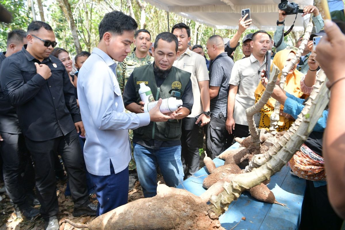 Vice President Absorbs Farmers' Aspirations to Adjust Cassava Retail Price