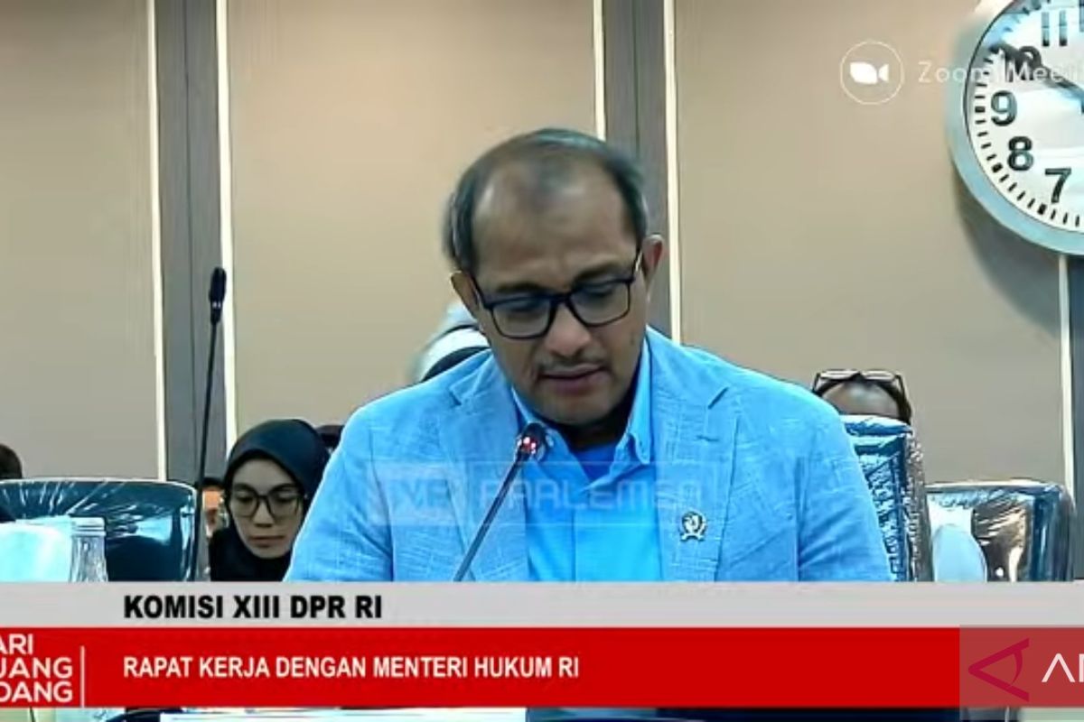 Deputy Law Minister Confirms One of Three Criminal Code Implementing Regulations Issued
