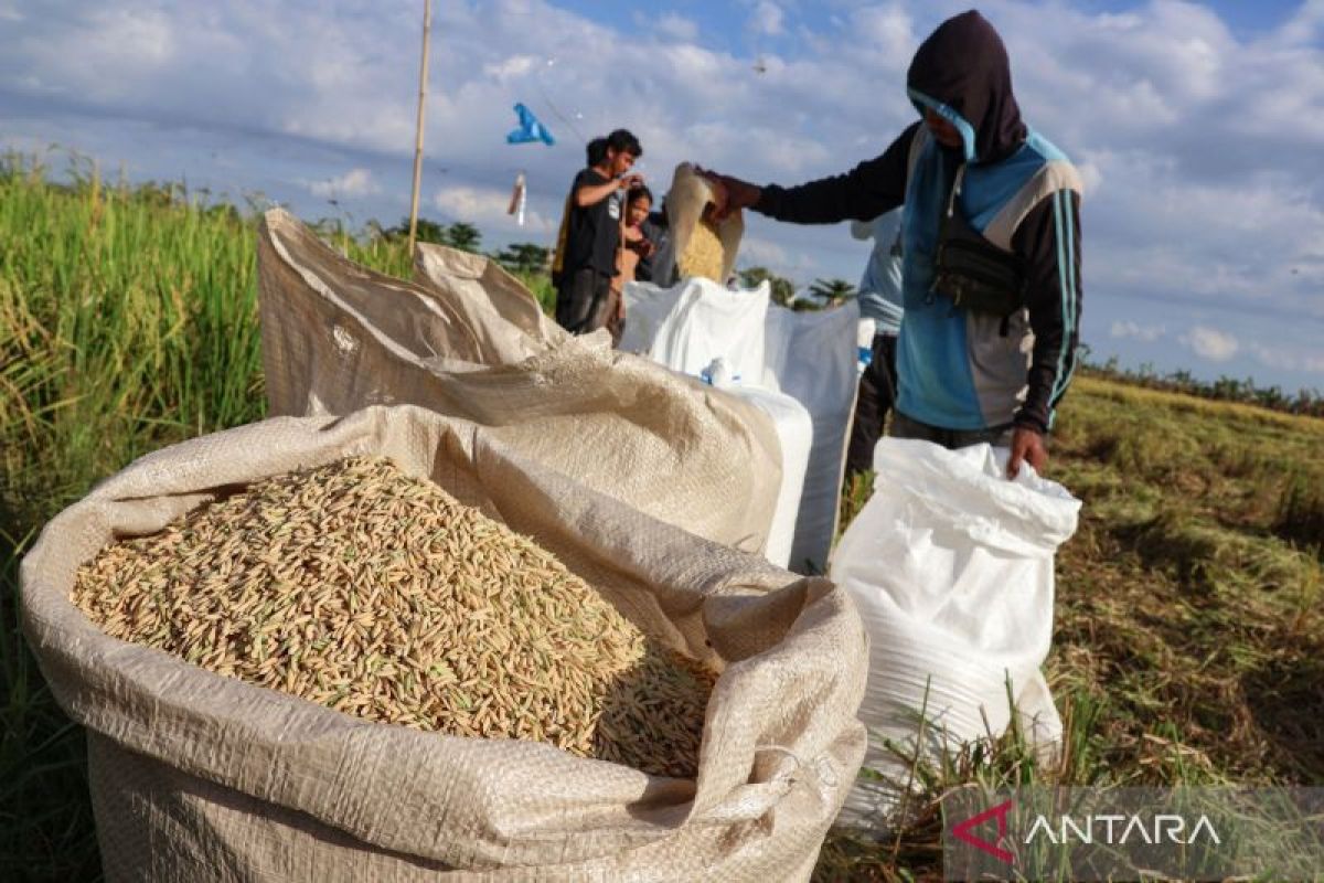El Nino, Household Economy, and Land as the Key