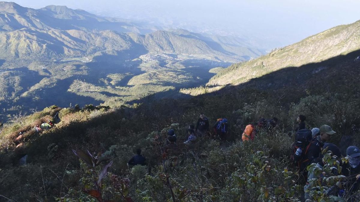 Open Trip Organiser Blacklisted for Two Years After Bypassing Local Porters on Mount Lawu