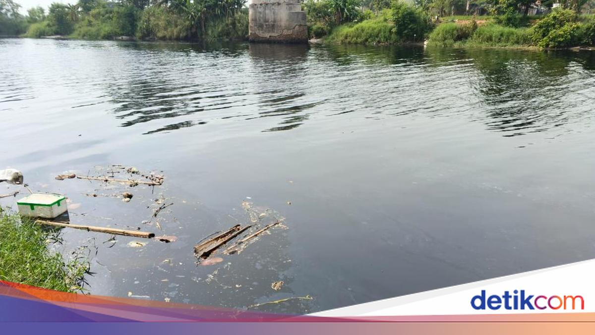 Banten DLHK Reveals Causes Behind Blackened Water in Ciujung River