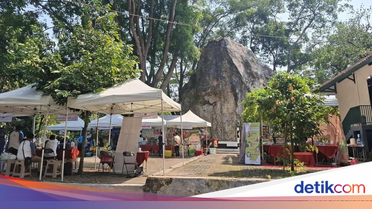 Tragedy Behind the Ambarketawang Bekakak Saparan Tradition to be Held Tomorrow