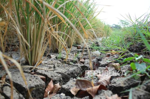 West Bandung Regency's Strategy to Tackle Food Insecurity, Drought, and Natural Disasters During Dry Season