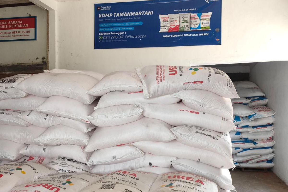 KDMP Tamanmartani Sleman Ready to Become Social Aid Distributor and Offtaker