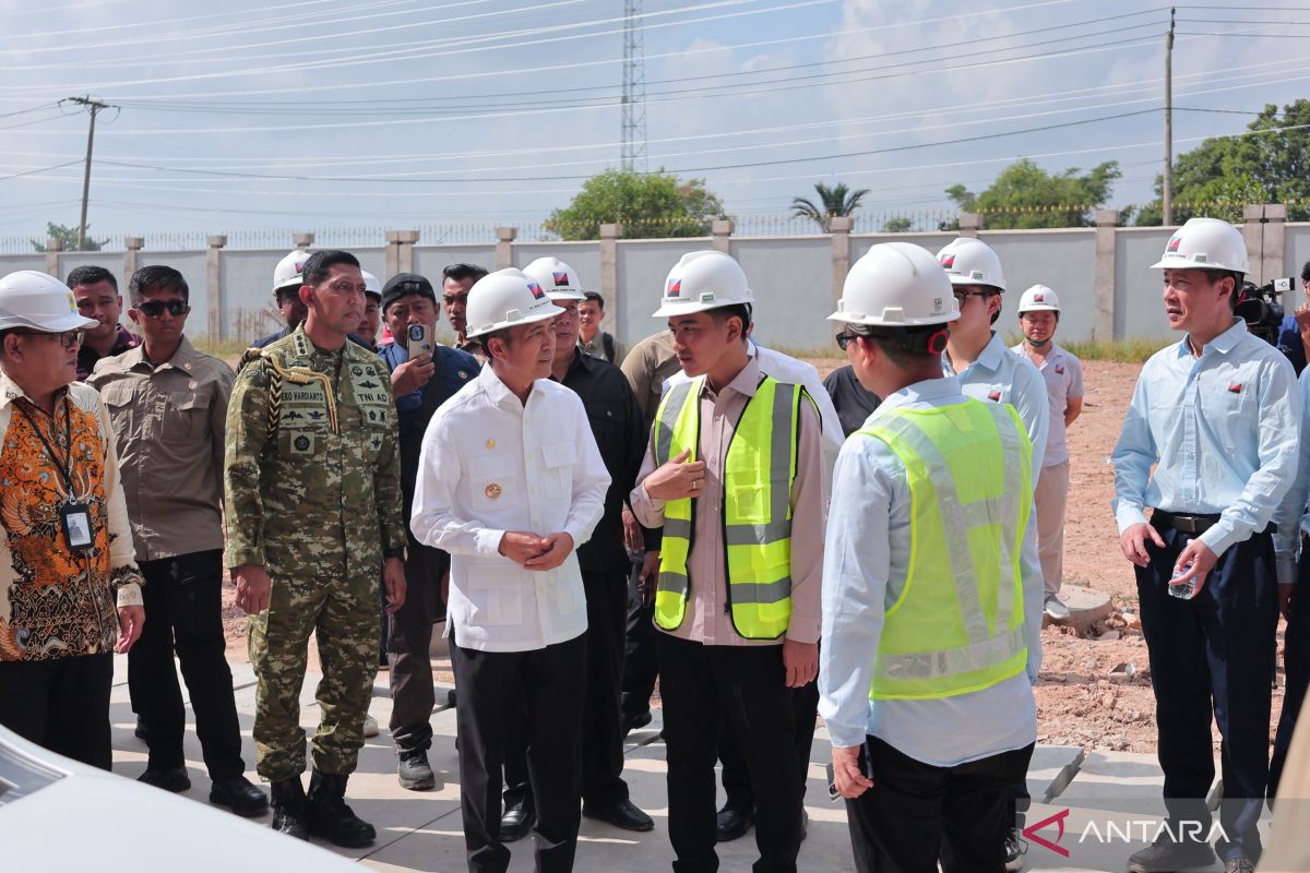Vice President Provides Directives for PSEL Development in Palembang, South Sumatra