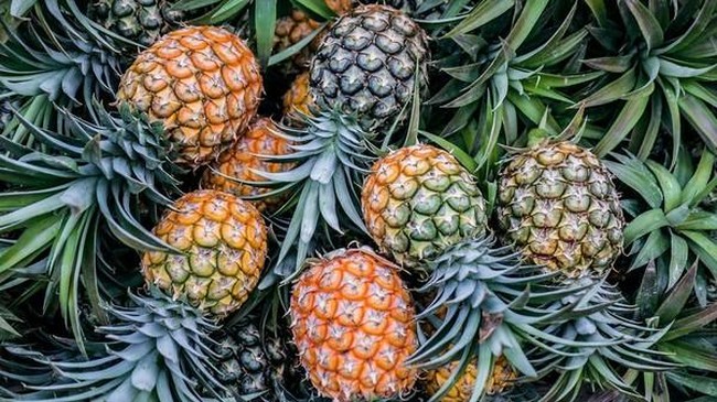 Thanks to Jokowi, Indonesian Pineapples Now Conquer China
