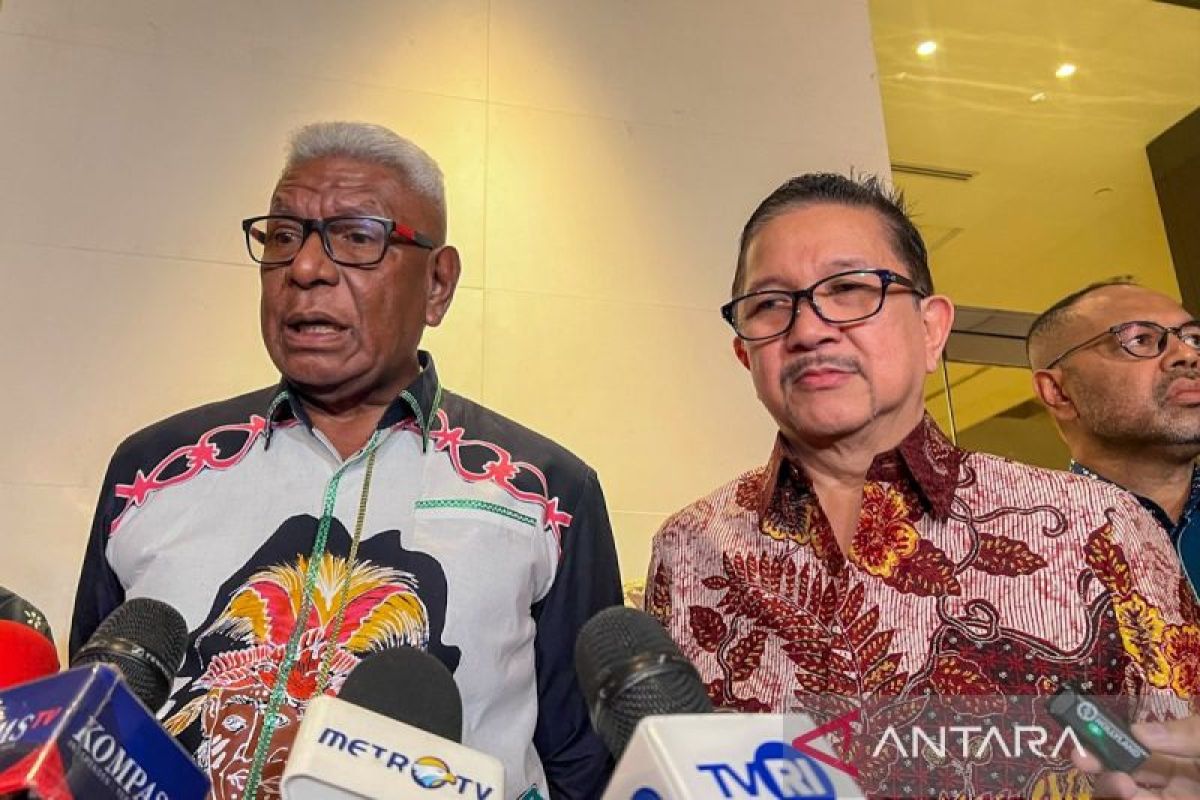 DPR says continued Freeport investment drives Papua's development