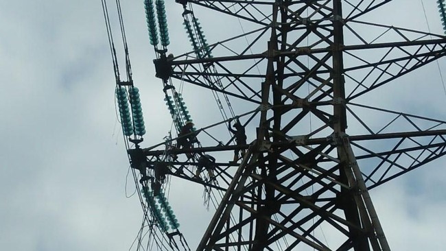 Designing the Energy and Electricity Laws for the Next 50 Years
