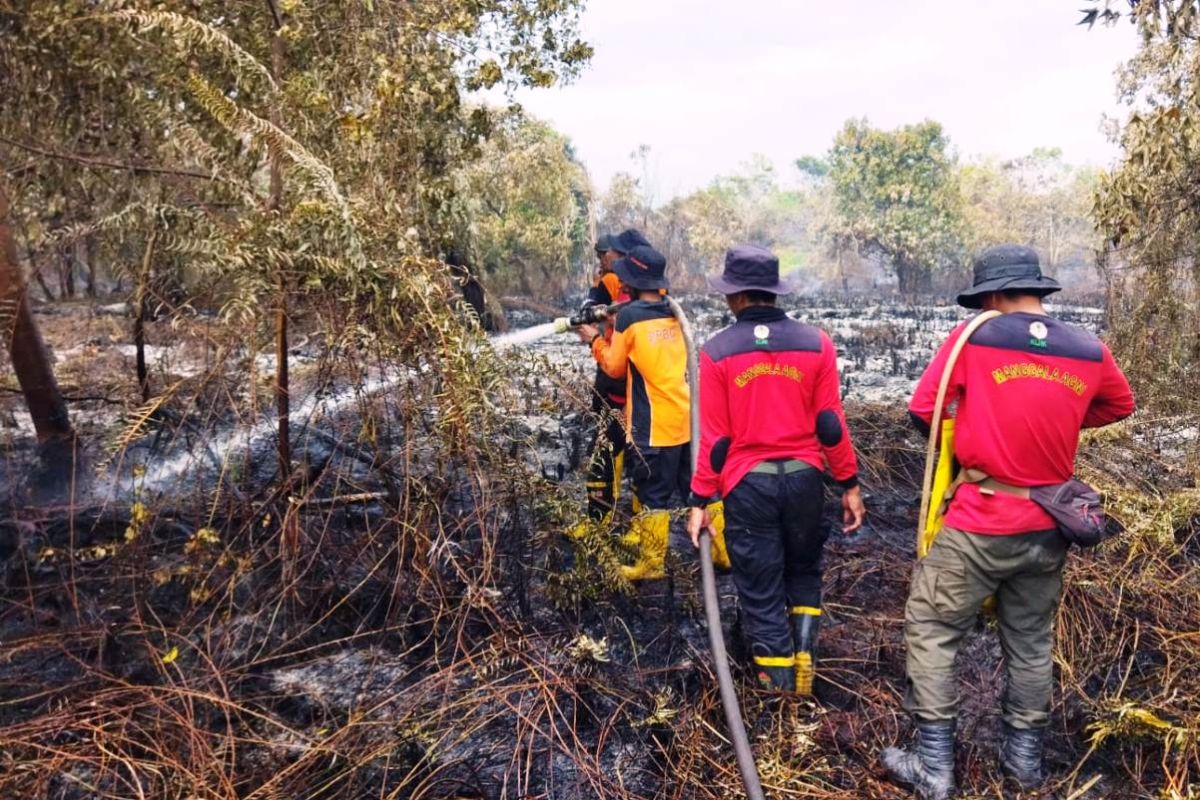 BNPB confirms wildfire in Penajam Paser Utara fully contained