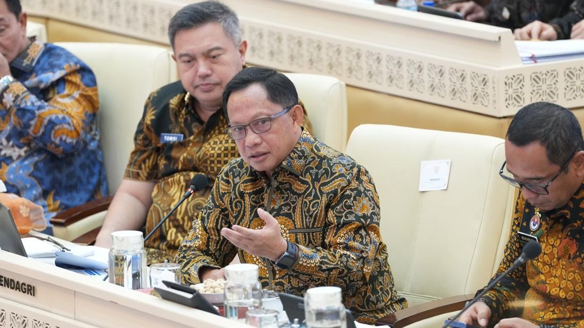 Home Affairs Minister Reveals Budget Efficiency Does Not Disrupt Ministry Performance