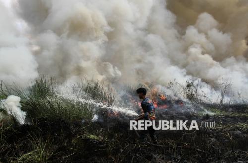Joint Team Tames Wildfire on Jambi-South Sumatra Border