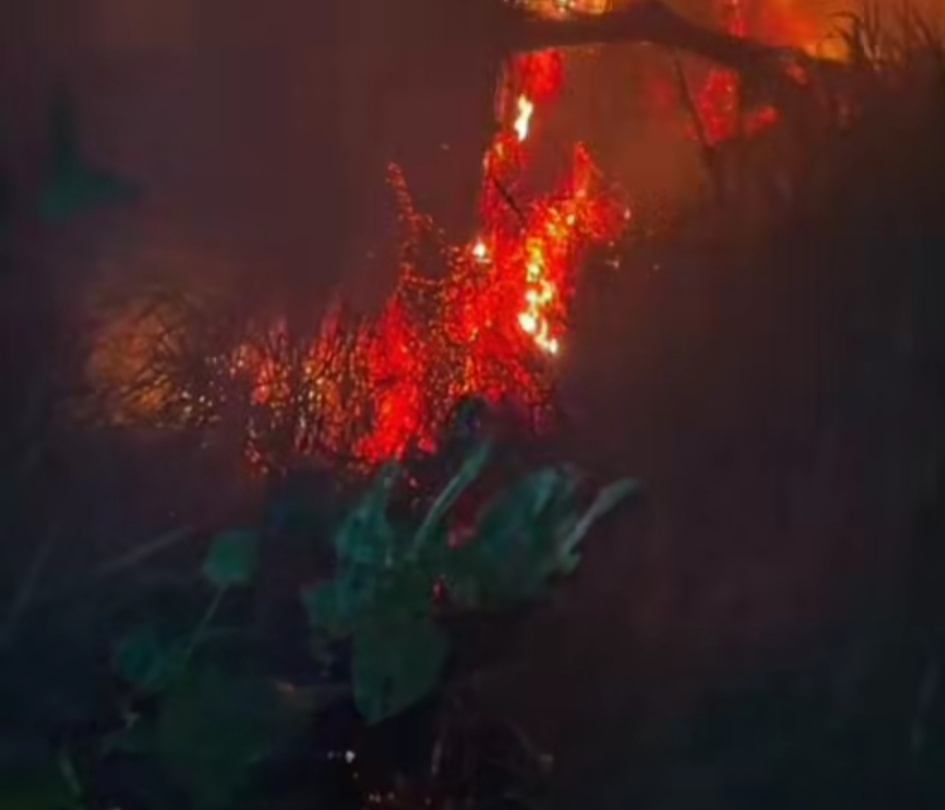 37 Forest and Land Fires Scorch 42 Hectares in Central Java Over Two Months