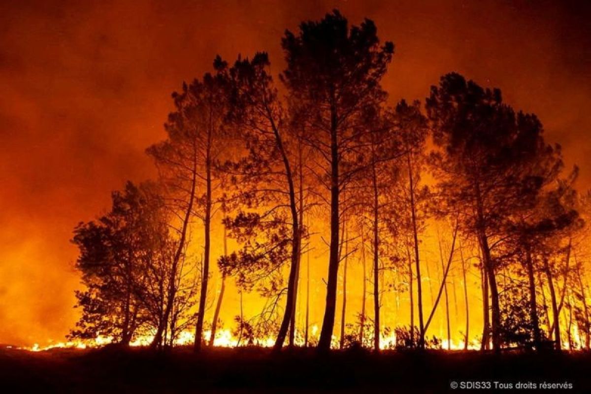France Records 11,000 Wildfires, Area Burned Surpasses 2025 Total