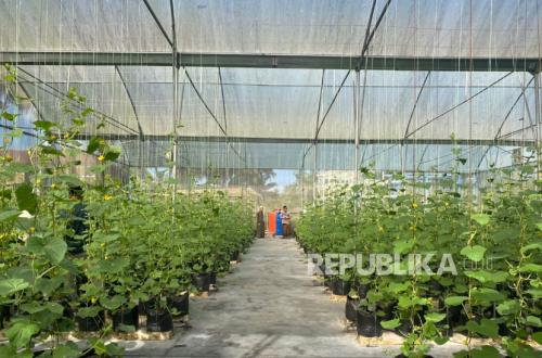 Thohir Yasin: A Self-Sufficient Islamic Boarding School in Eastern Indonesia Fostered by Bank Indonesia