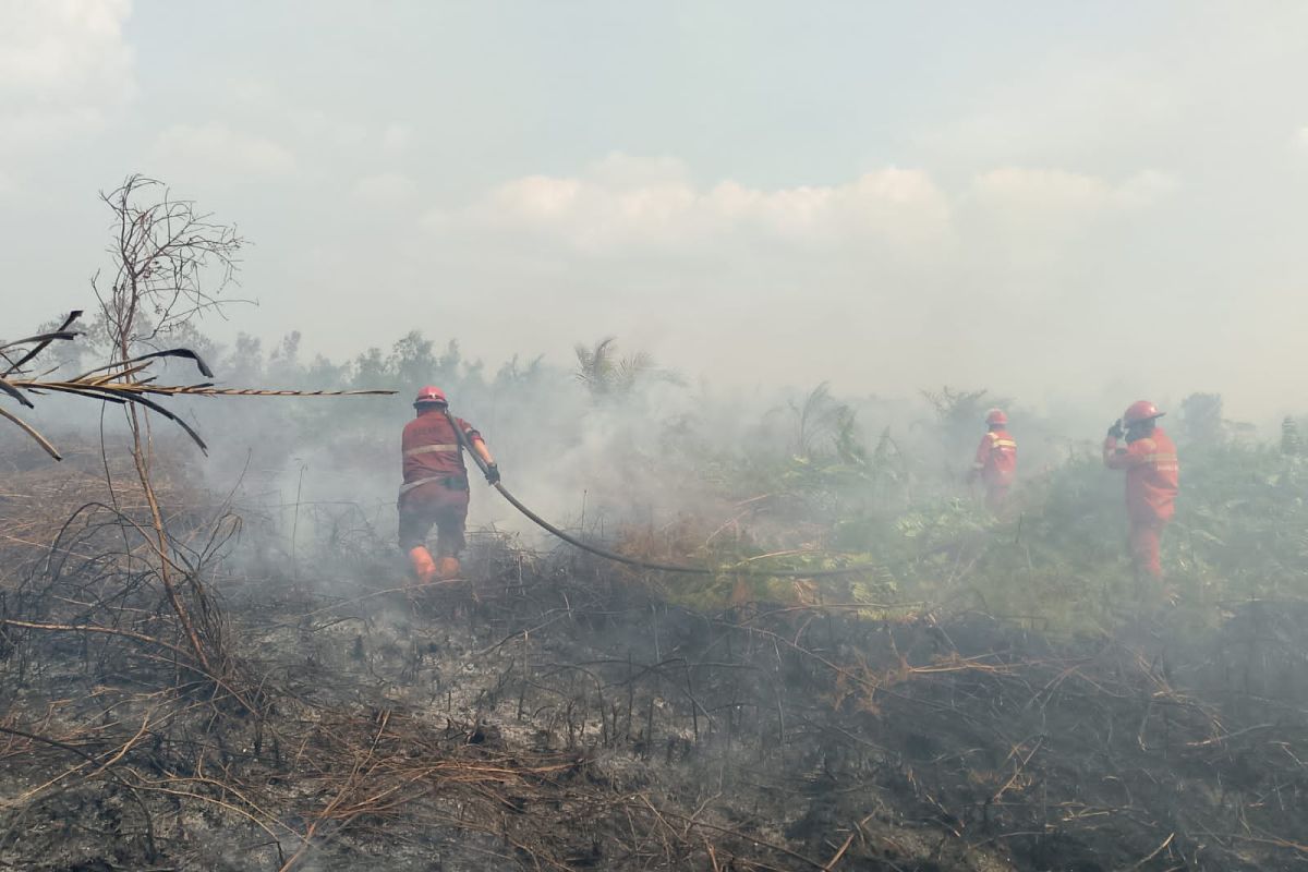 Ministry of Forestry Records 15,477.9 Hectares of Forest and Land Fires in Riau During 2026