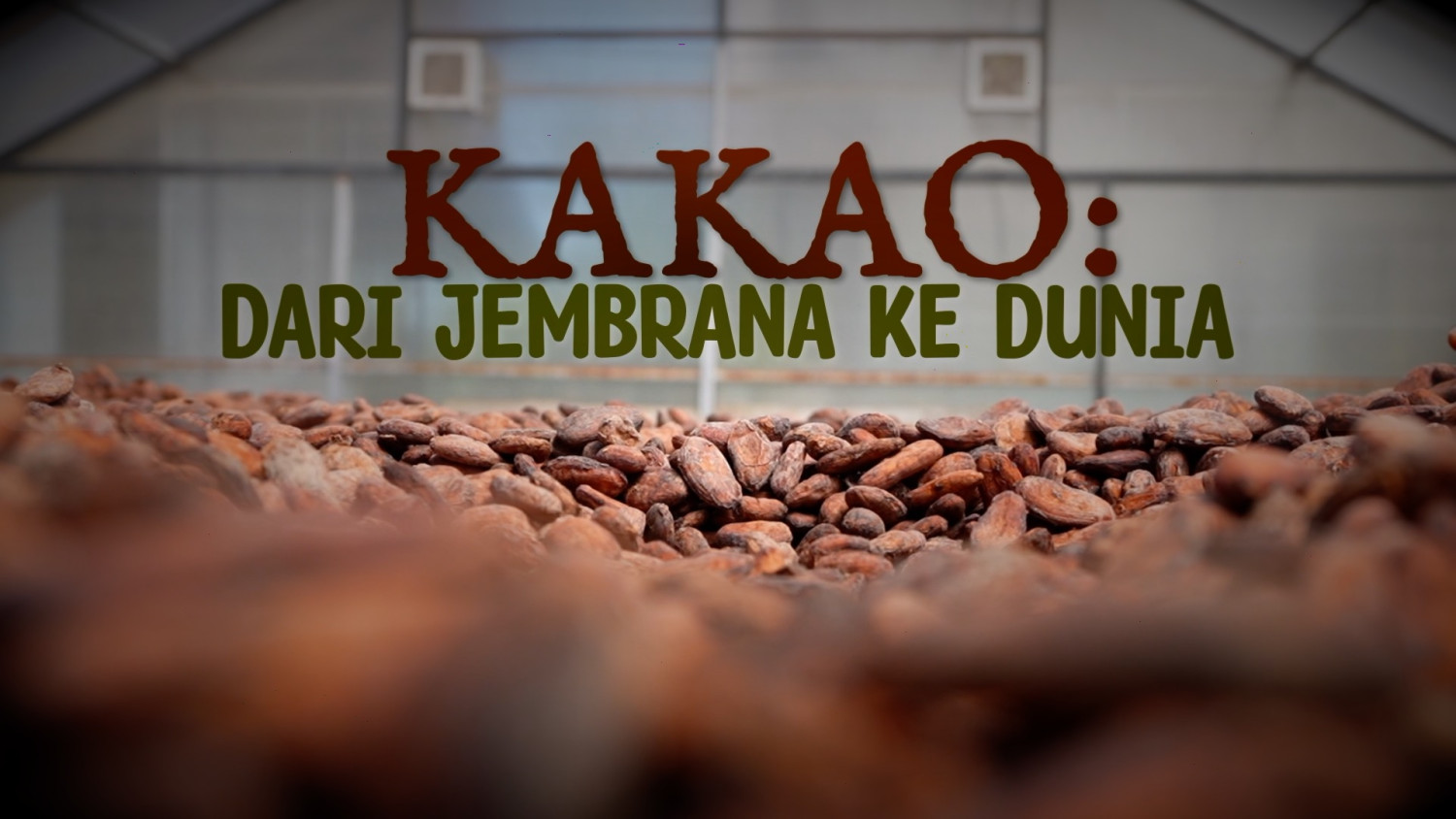 Cocoa: From Jembrana to the World