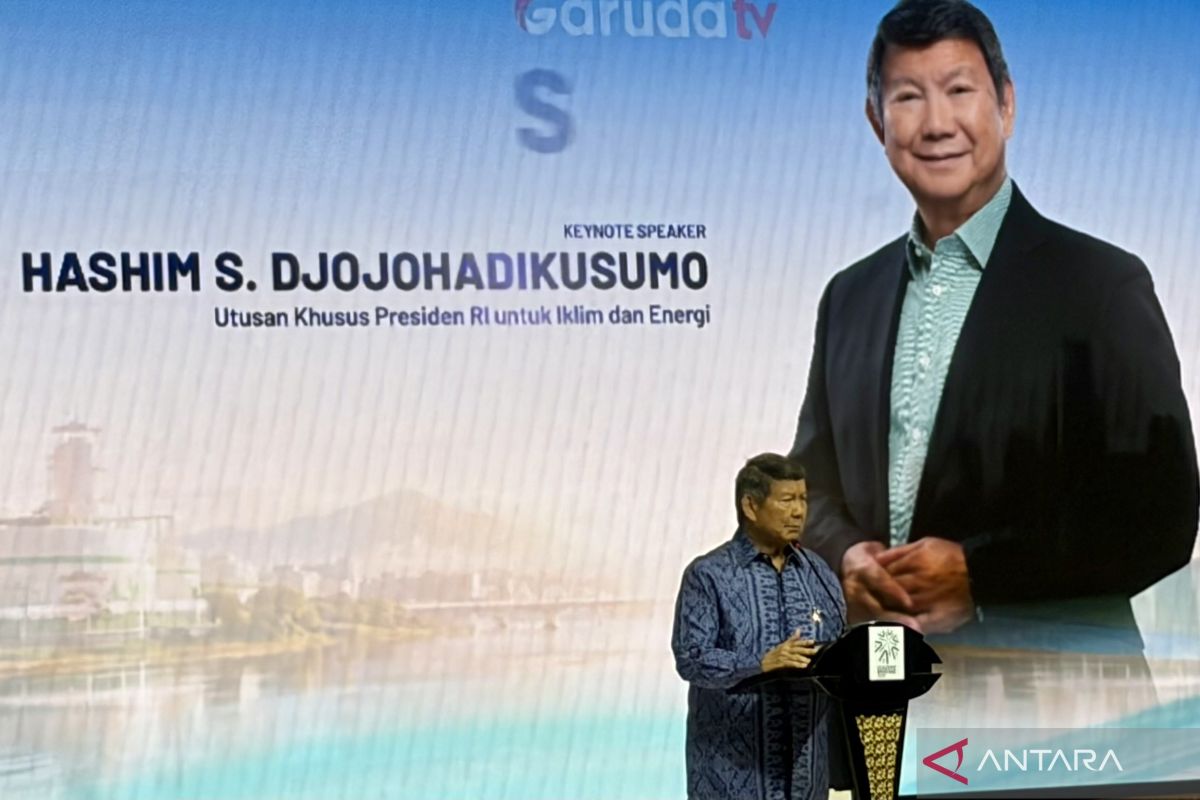 Carbon trading crucial breakthrough for green economy: envoy