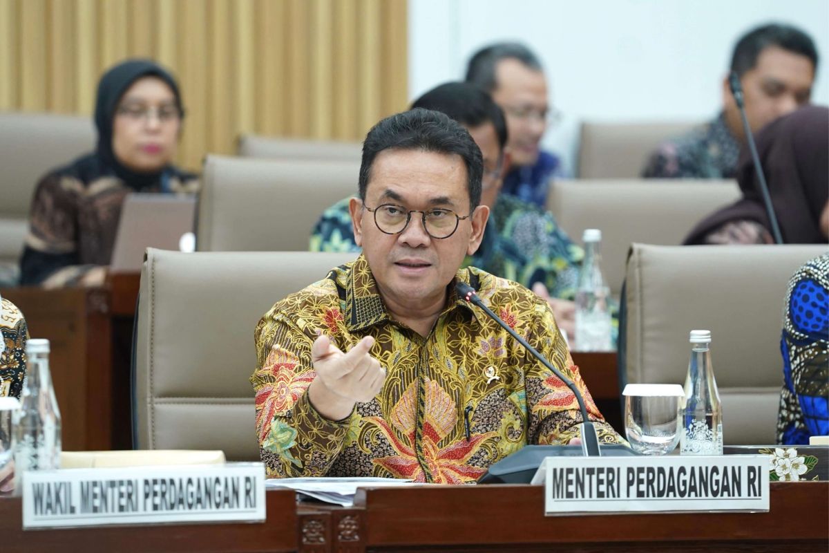 Trade Minister Says IP-CEPA Opens Export Opportunities for Vehicles and Textiles
