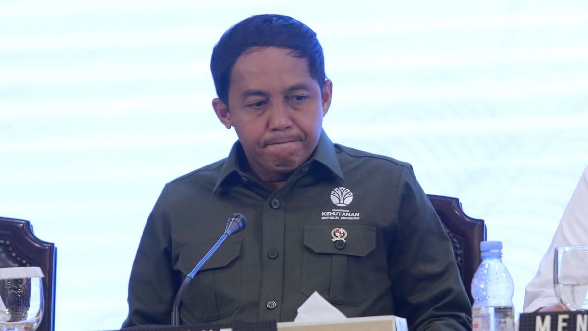 KPK Rejects Forestry Minister Raja Juli's Gratuity Report