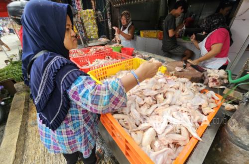 Free Nutritious Meal Programme Resumes, Chicken Prices in Cirebon Immediately Soar