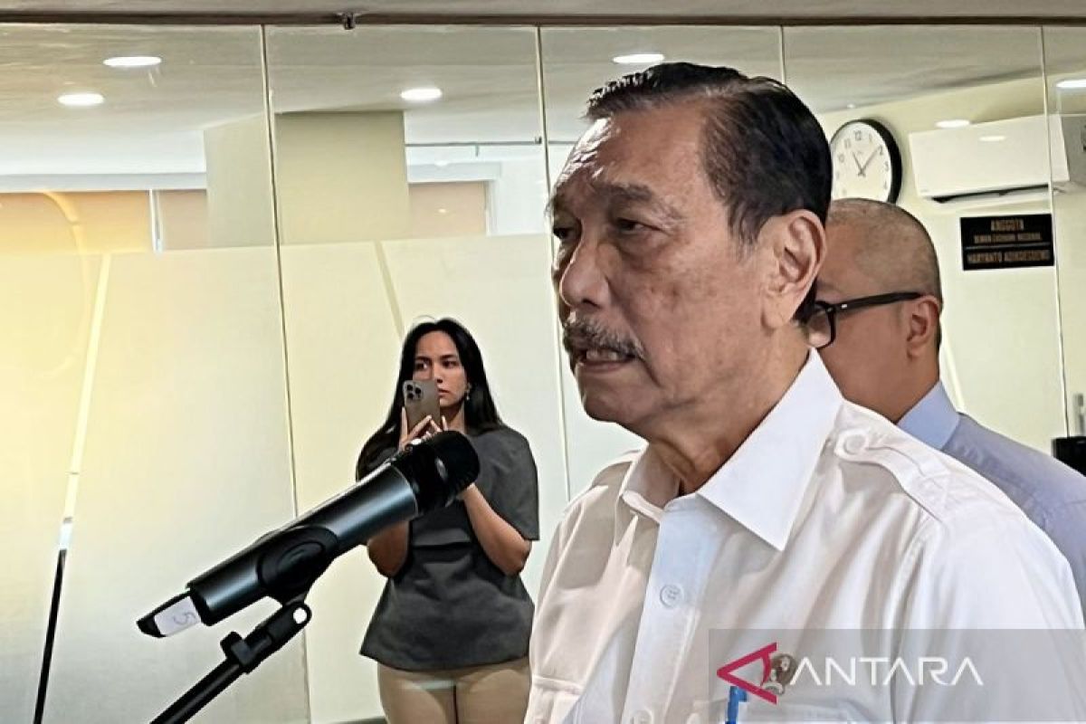 Hoax: Luhut says Indonesians who do not pay tax will have citizenship revoked