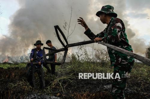 BNPB: Forest Fires and Drought Dominate Disasters This Week