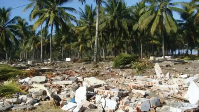 Quake Felt Like a Passing Truck, Yet a Deadly 21-Metre Tsunami Swept the Coast