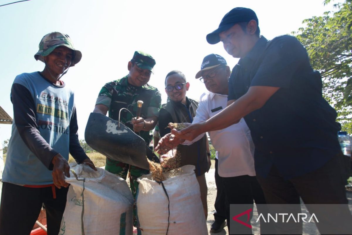 Indramayu DKPP Targets 1.6 Million Tonnes of Rice Production in 2026