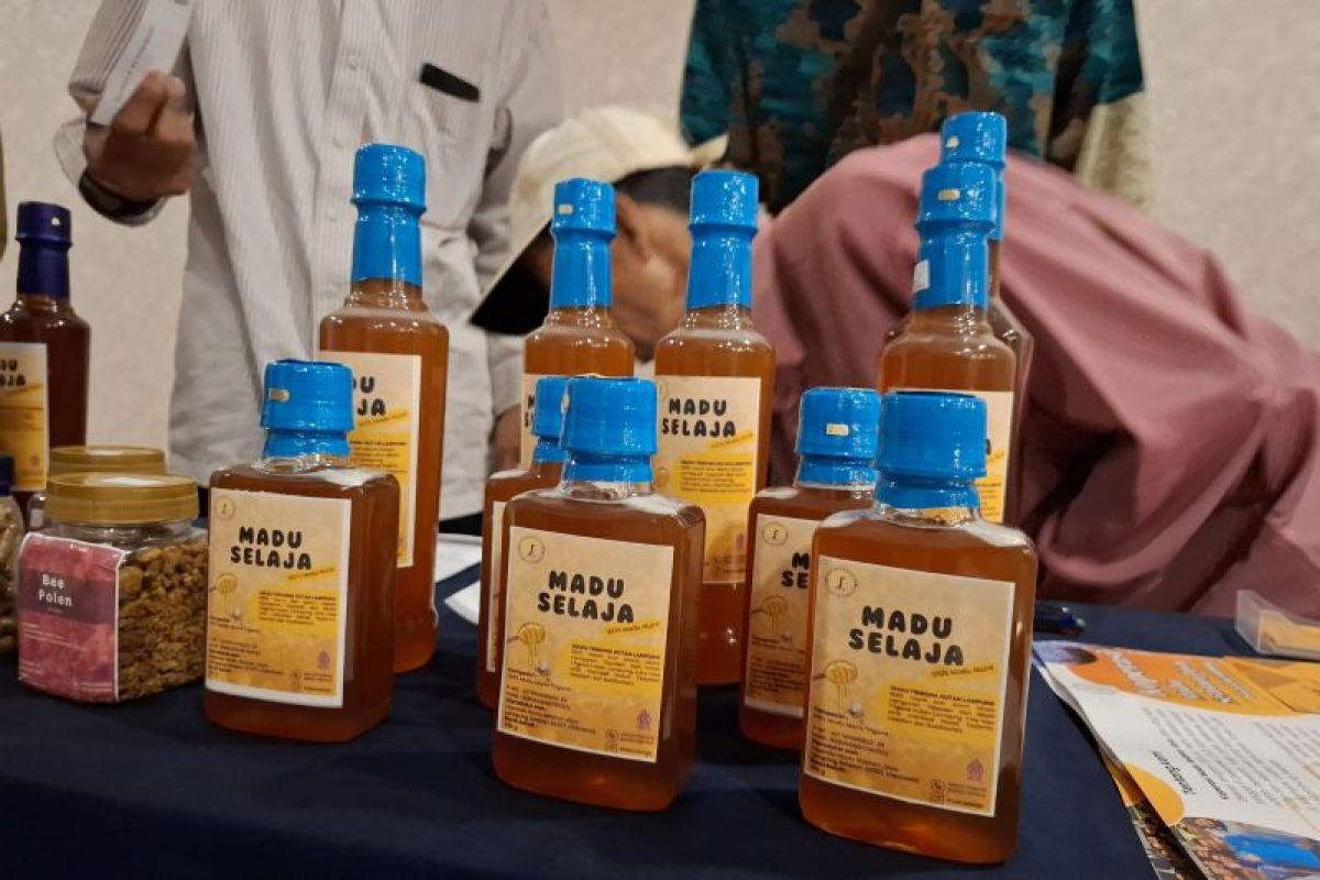 13 Social Forestry Business Groups in Lampung Achieve Platinum Status
