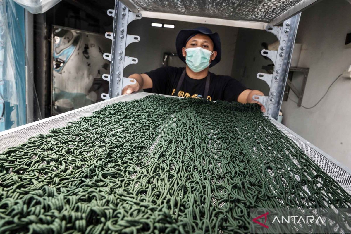 Spirulina Algae Cultivation in Semarang Employs Eco-Friendly Technology