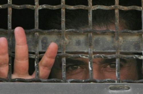 Barbaric! Israel Moves to Realise 'Crocodile Prison' for Palestinian Detainees