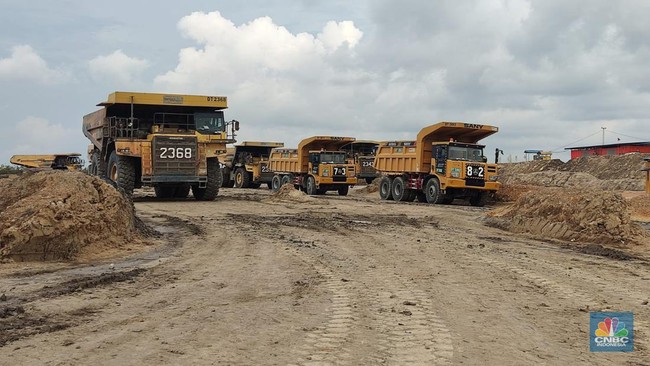 Constitutional Court Rules Mining Permits for Mass Organisations Cannot Be Directly Appointed